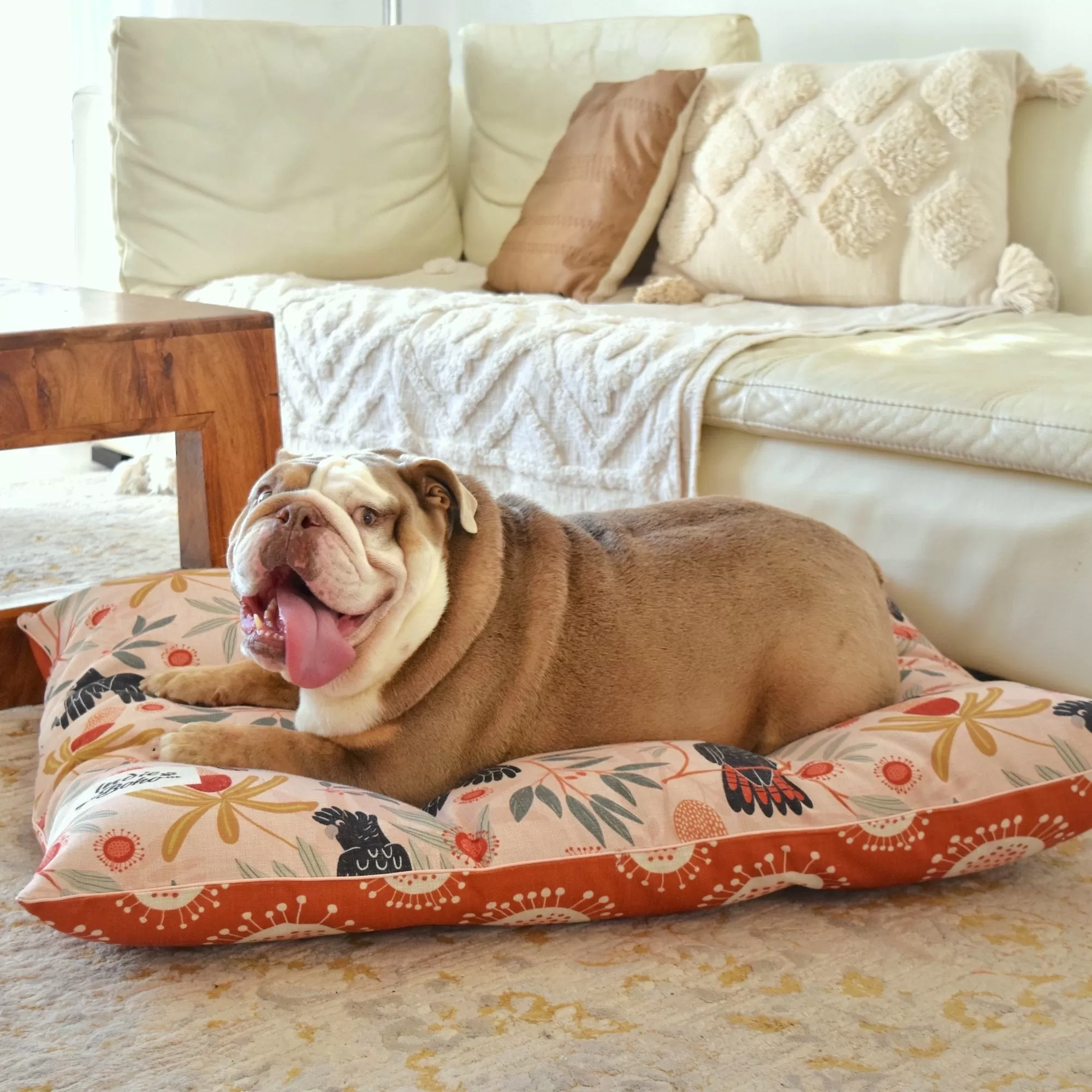 Indie ECO Pet Bed - Sunset Cockatoo