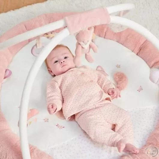 Nattou Alice And Pomme - Stuffed Playmat With Arches