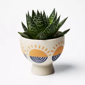 Rising Sun Planter